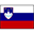 Liga eslovena